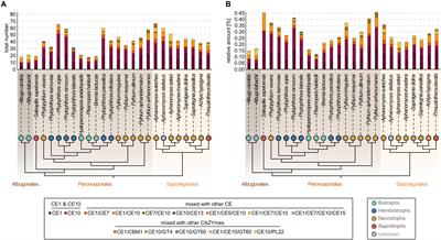 A Global Survey of Carbohydrate Esterase Families 1 and 10 in Oomycetes